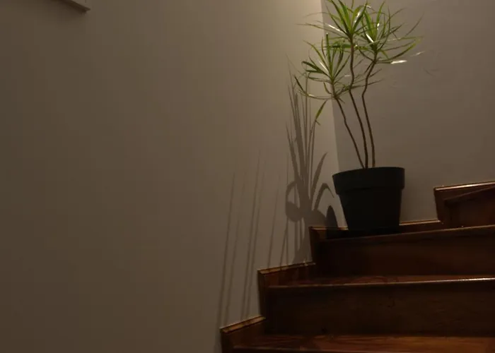 Дом отдыха Emunah - No Coracao De